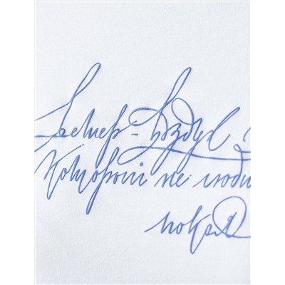 Футболка из премиального хлопка с авторским принтом