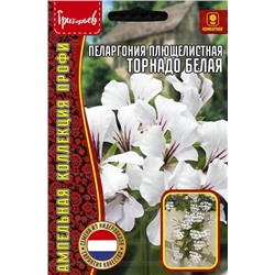 Пеларгония Торнадо Белая плющелистн (Редкие)