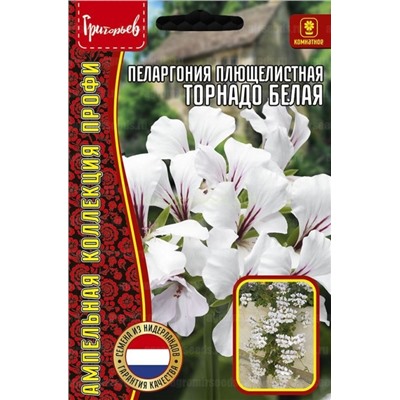 Пеларгония Торнадо Белая плющелистн (Редкие)