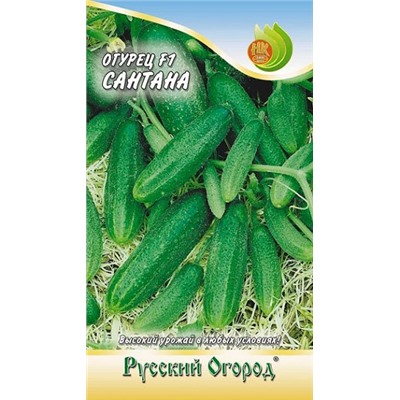 Огурец Сантана F1 (Код: 1620)