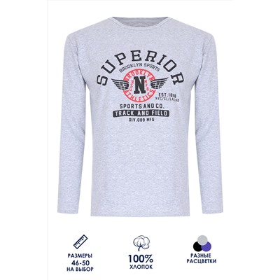 Футболка с длинным рукавом ФН176 Superior