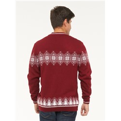 Джемпер мужской 5222-12327