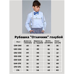 Рубашка "Отличник" голубой