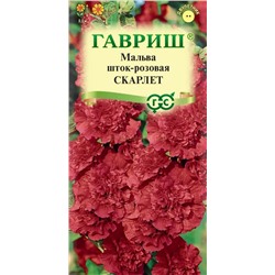 Мальва Скарлет (Гавр)