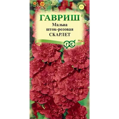 Мальва Скарлет (Гавр)