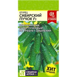 Огурец Сибирский Пучок F1 Сем.Алтая