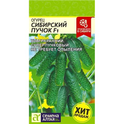 Огурец Сибирский Пучок F1 Сем.Алтая