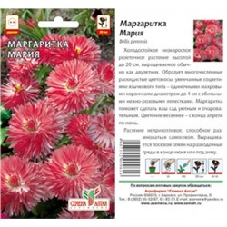 Цв.Маргаритка Мария (Сем.Алтая) 0,05г