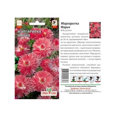 Цв.Маргаритка Мария (Сем.Алтая) 0,05г