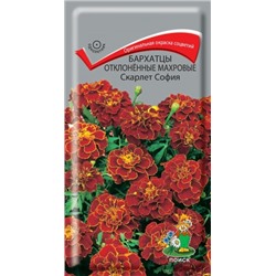 Цв.Барх.Скарлет София махр.отклон (Поиск) 0,4г