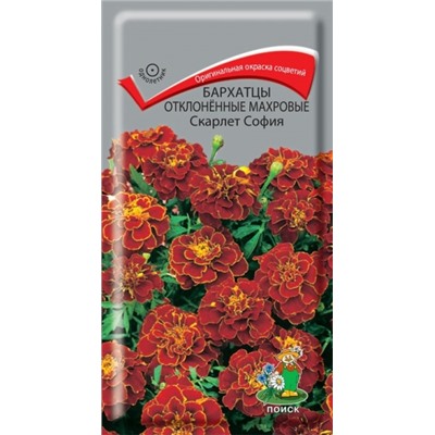 Цв.Барх.Скарлет София махр.отклон (Поиск) 0,4г