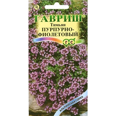 Тимьян пурпурно-фиолетовый (Гавр)
