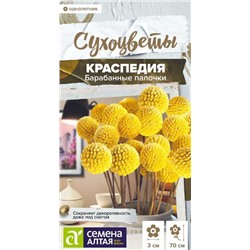Краспедия Барабанные палочки шаровидная Сухоцветы (Алтай)