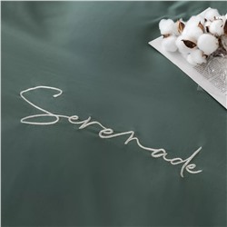 Комплект постельного белья Однотонный Сатин Вышивка CH046