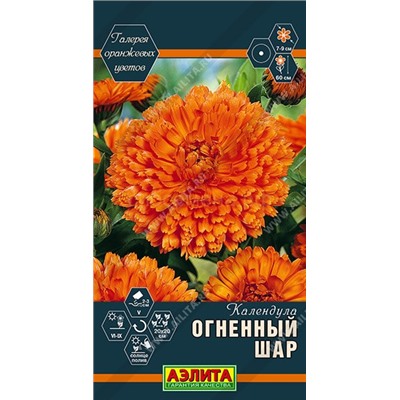 Календула Огненный шар (Аэлита)