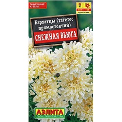 Бархатцы Снежная вьюга (Аэлита)