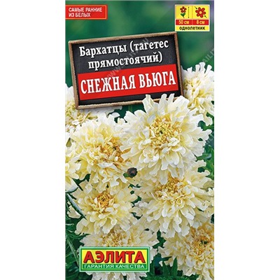 Бархатцы Снежная вьюга (Аэлита)