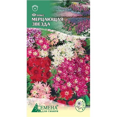 Флокс Мерцающая звезда, 0,2г (цв.)