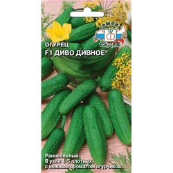 Огурец Диво Дивное F1 (Седек)