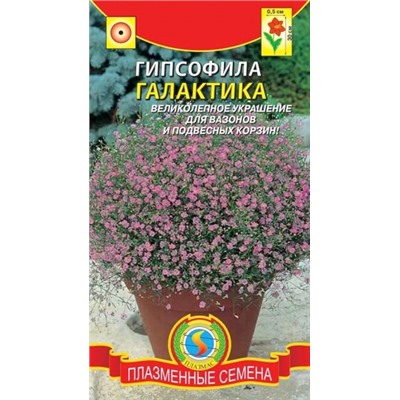 Цв.Гипсофила Галактика (Плазма) 0,005г