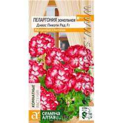 Пеларгония Дивас Пикоти Ред зональная (Алтай)