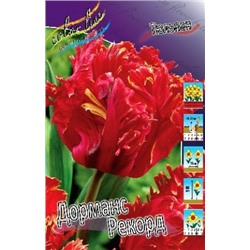 Тюльпан Дорманс Рекорд 8шт (ИС)