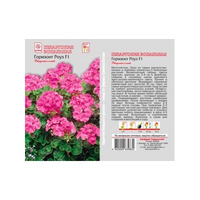 Цв.Пеларгония Горизонт Роуз (Сем.Алтая) 4шт.