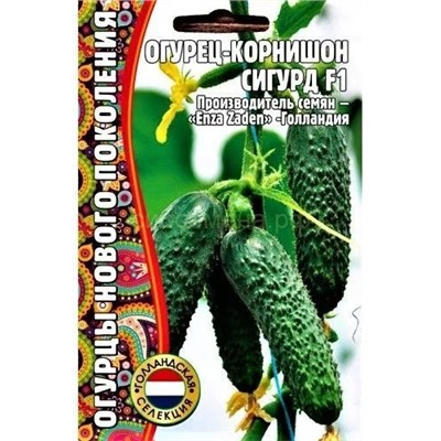 Огурец Сигурд F1 (Редкие)
