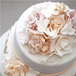 Мастика Vizyon белая 1 кг