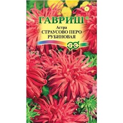 Астра Страусово перо Рубиновая (Код: 92897)
