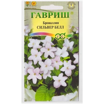 Броваллия Сильвер Белл (Код: 14210)