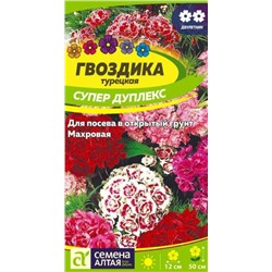 Гвоздика Турецкая Супер Дуплекс