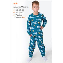 Пижама из футера с начесом для мальчика Happyfox