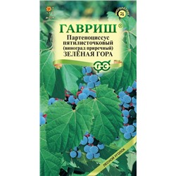 Виноград приречный Зеленая гора (Гавр)