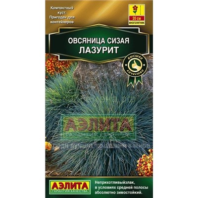 Овсяница сизая Лазурит (Аэлита)