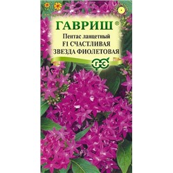 Пентас Счастливая звезда фиолетовая (Код: 91854)