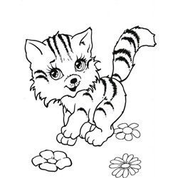 Мои любимцы. Любимая раскраска девочка