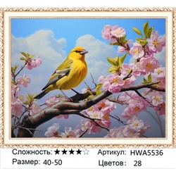 AM45 HWA5536, 40х50 см
