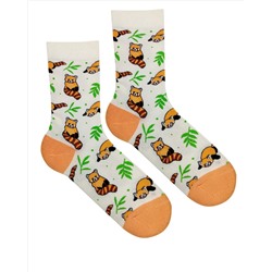 Носки р.35-40 "Cute Animals" Енот