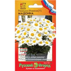 Цв.Ромашка Мадонна (НК) 10шт