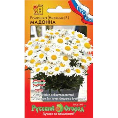 Цв.Ромашка Мадонна (НК) 10шт