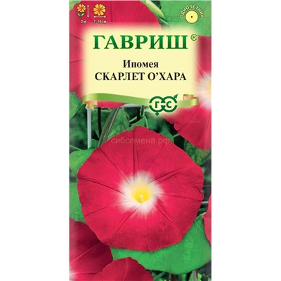 Ипомея Скарлет О Хара (Гавр)