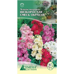 Левкой махровая низкорослая смесь, 0,1г (цв.)*