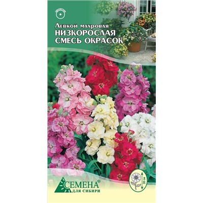 Левкой махровая низкорослая смесь, 0,1г (цв.)*