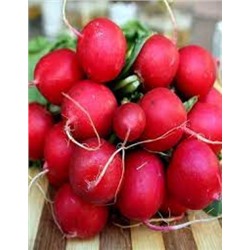 Редис Нахаленок (УД) 2г