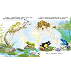 Кн. Как появляется... И.Гурина Как появляется лягушка 16 цв.стр. 16*20см  29234