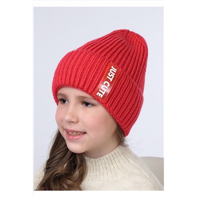 Шапка CLEVER #799307