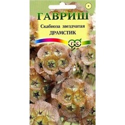 Скабиоза Драмстик звездчатая (Гавр)