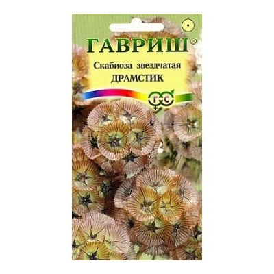 Скабиоза Драмстик звездчатая (Гавр)