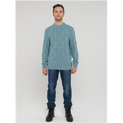 Джемпер мужской 212-12295